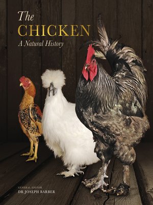 cover image of The Chicken